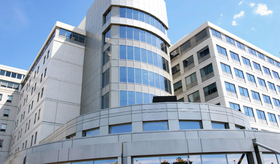 Our Project One Image 2